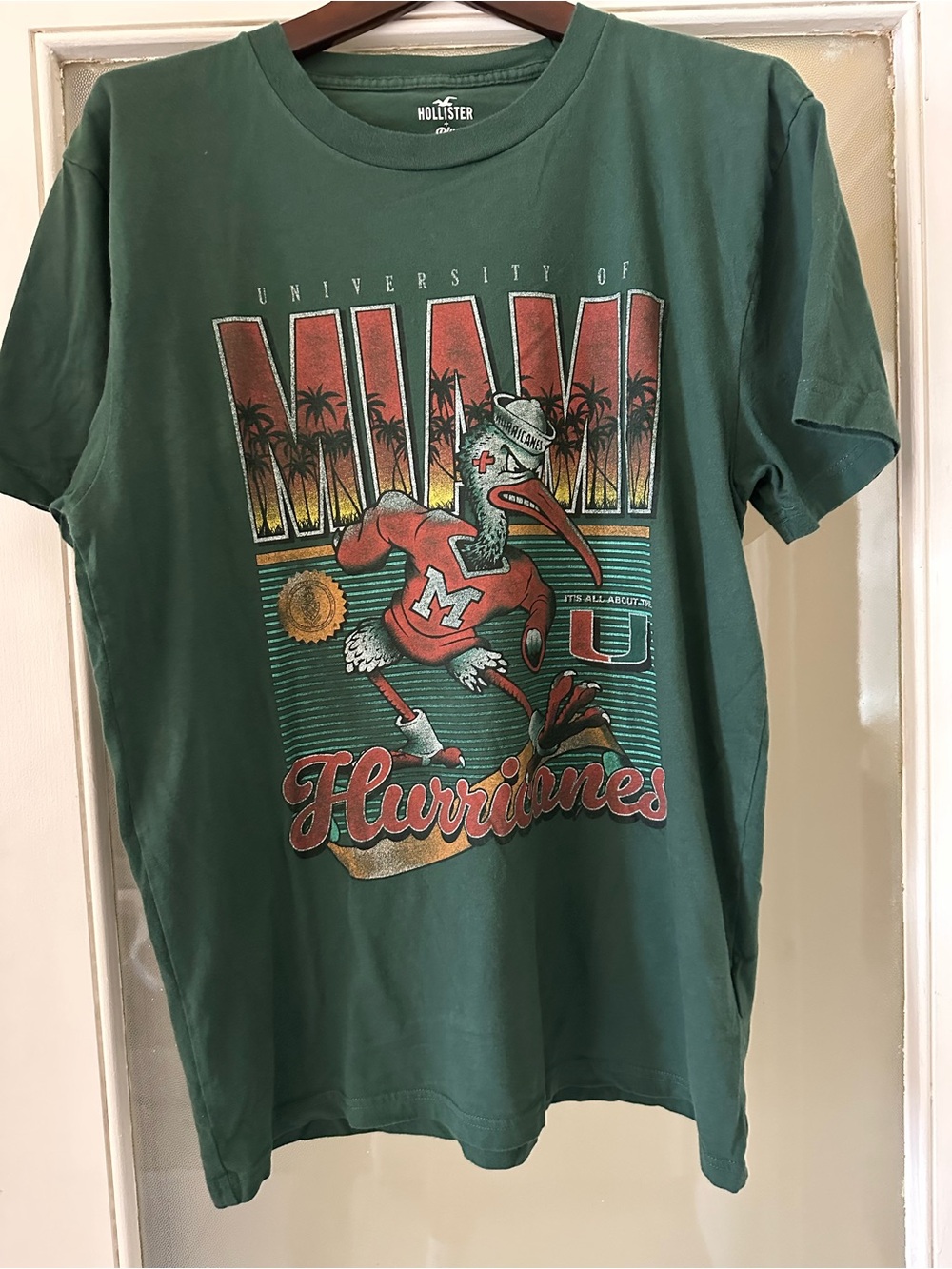Hollister Green Crewneck Logo Tee